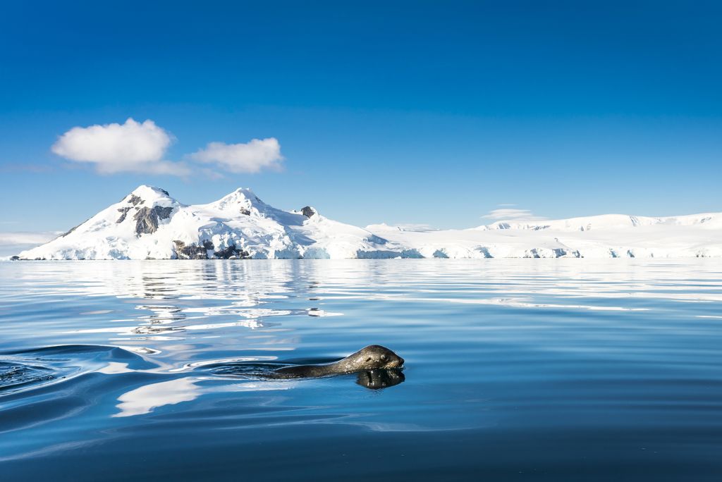 Oceanwide Expeditions