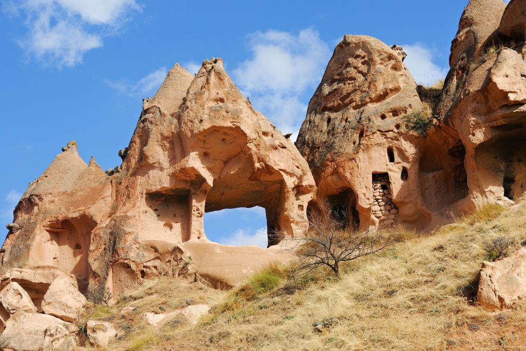 L1E2979A1W1024H684