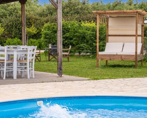 45502529-Original