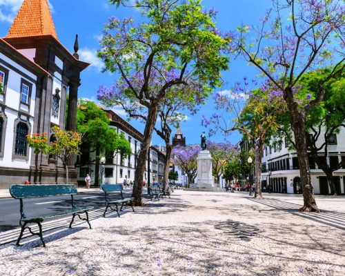 Funchal,Cityscape,With,Main,Street,At,Sunny,Summer,Day.,Travel