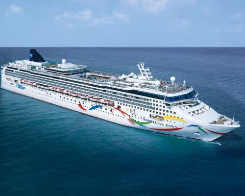 ncl_DAWN_Dolphin_side_at_sea