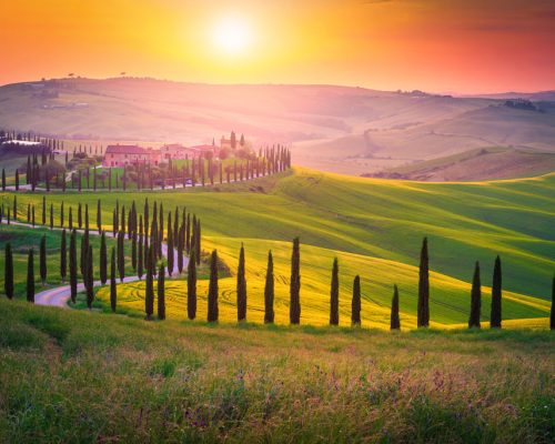 Well,Known,Tuscany,Landscape,With,Grain,Fields,,Cypress,Trees,And