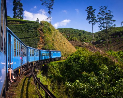 Train,From,Nuwara,Eliya,To,Kandy,Among,Tea,Plantations,In