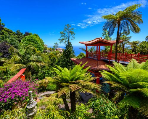 Monte,Palace,-,Tropical,Garden,With,Waterfalls,,Lakes,And,Traditional
