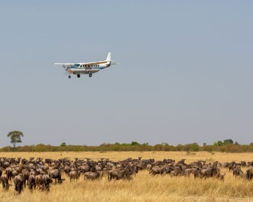 The,Airplane,Is,Flying,Over,The,African,Savanna.,There,Is