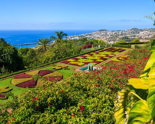 Famous,Tropical,Botanical,Gardens,In,Funchal,Town,,Madeira,Island,,Portugal