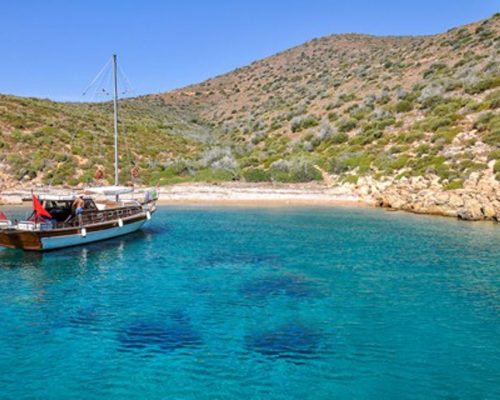 L1E2850A2W1024H684