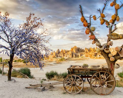 Goreme,,Turkey,-,September,23,,2015:,Tree,Of,Wishes,With